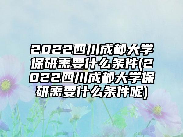 2022四川成都大学保