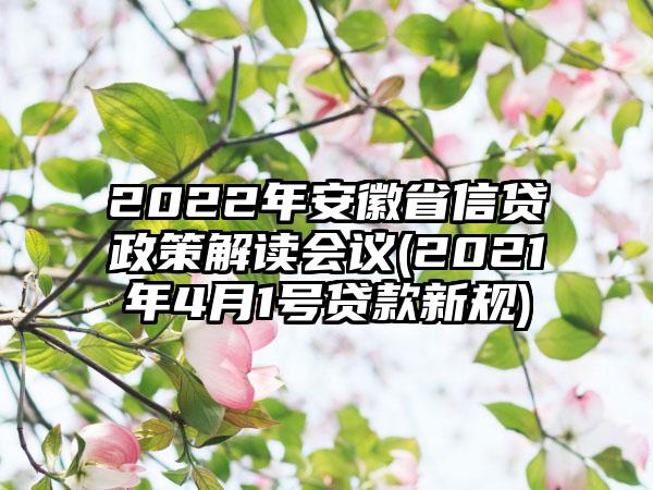 2022年安徽省信贷政