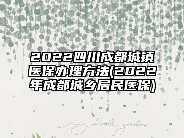 2022四川成都城镇医保办理方法(2022年成都城乡居民医保)