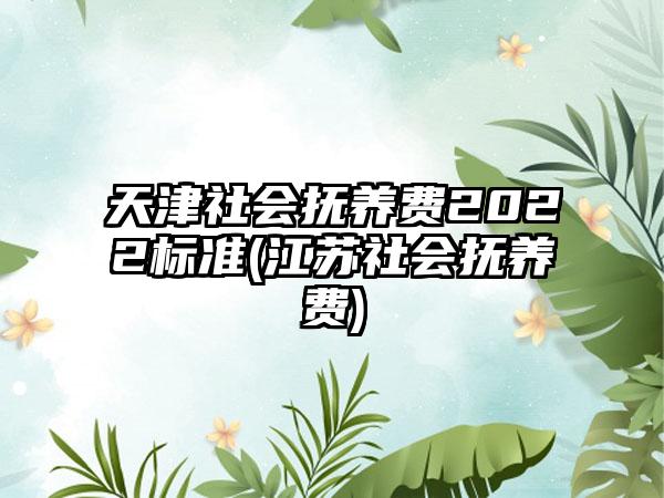 天津社会抚养费2022标准(江苏社会抚养费)