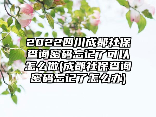 2022四川成都社保查