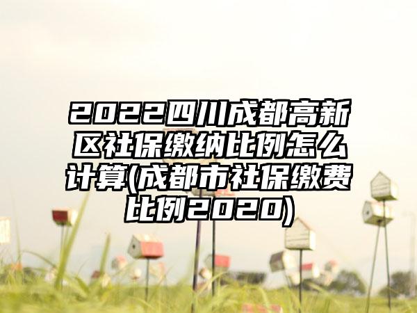 2022四川成都高新区