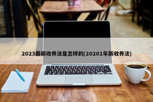 2023最新收养法是怎样的(20201年新收养法)