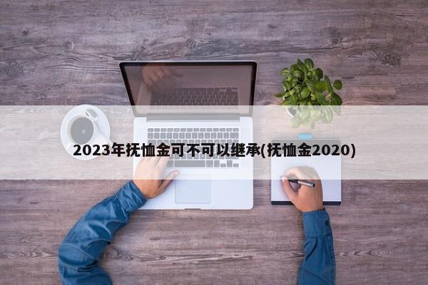 2023年抚恤金可不可以继承(抚恤金2020)-图1
