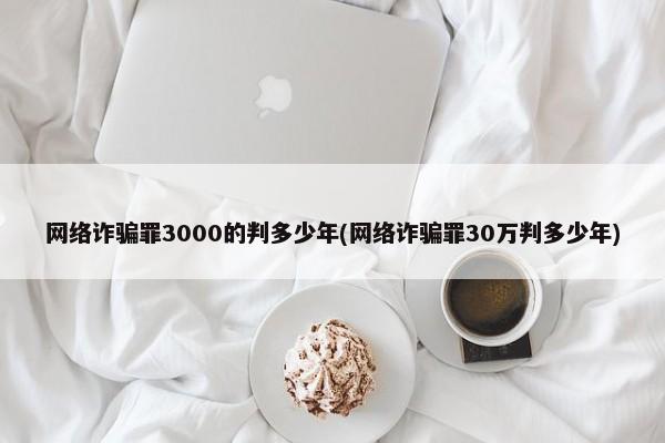 网络诈骗罪3000的判多少年(网络诈骗罪30万判多少年)
